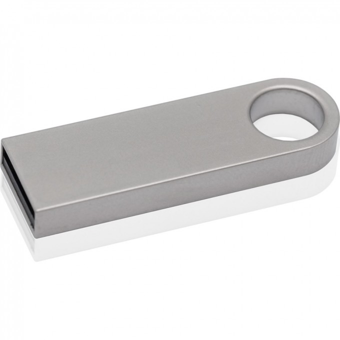 Флешка KINGSTON 4GB DataTraveler DT109W-4GB 366593 Флешка KINGSTON 4GB DataTraveler DT109W-4GB 366593