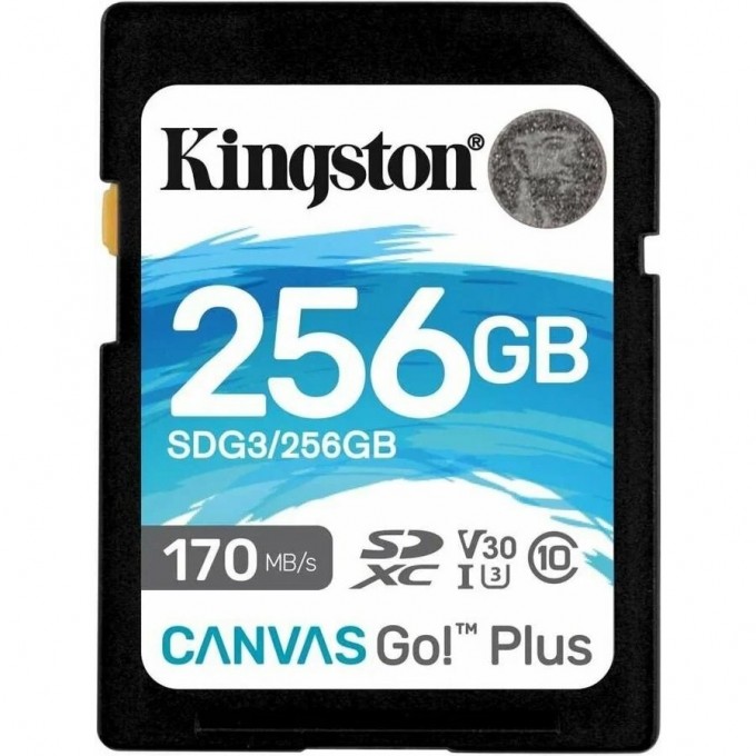 Карта памяти KINGSTON 256GB SDG3-256GB 625679 Карта памяти KINGSTON 256GB SDG3-256GB 625679